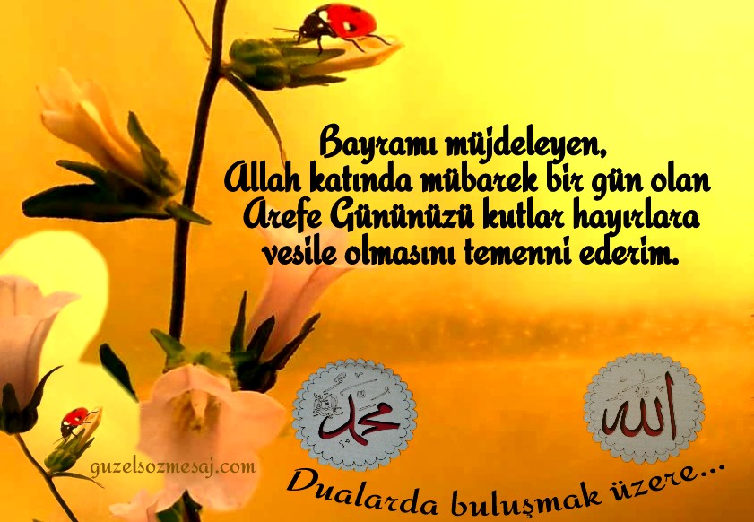 guzel sozler mesajlar