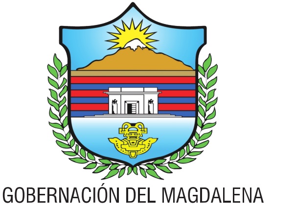 Institucional