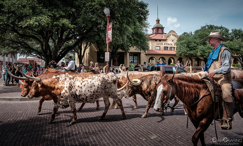 Evan Gearing Photography Blog