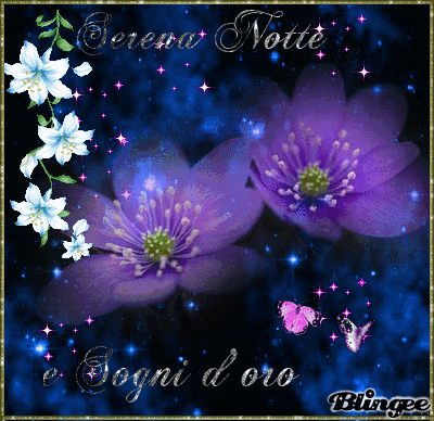 Risultati immagini per Buonanotte gif bellissime
