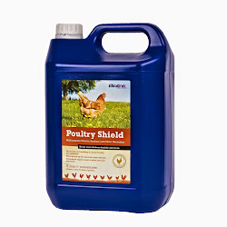 mite rid poultry getting chicken disinfectant