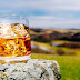 To Get This Job, You’ll Need To Drink Whisky And Travel The World