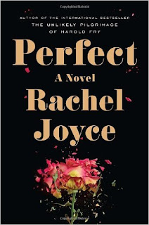 Perfect: A Novel Pdf