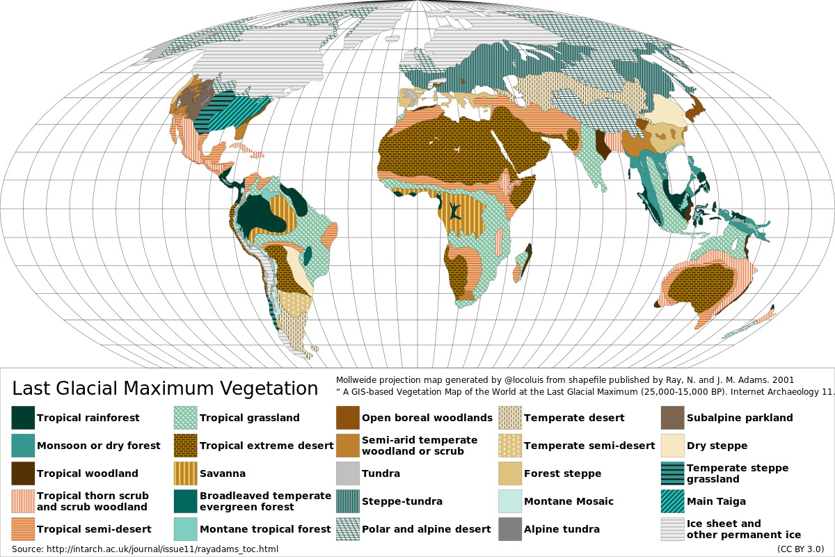Last Glacial Maximum vegetation