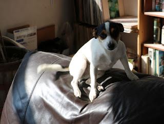 Louise found a patch of sun to enjoy Louise found a patch of sun to enjoy