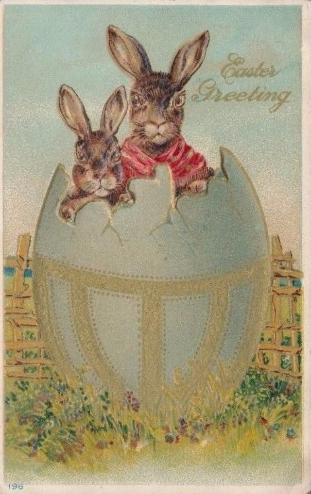 Rabbit dirty fridays miami A Collection of 30 Cute Bunny Rabbit Vintage Easter Postcards ~ vintage