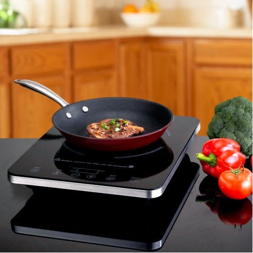 Portable Induction Cooktop TuDiem's Corner