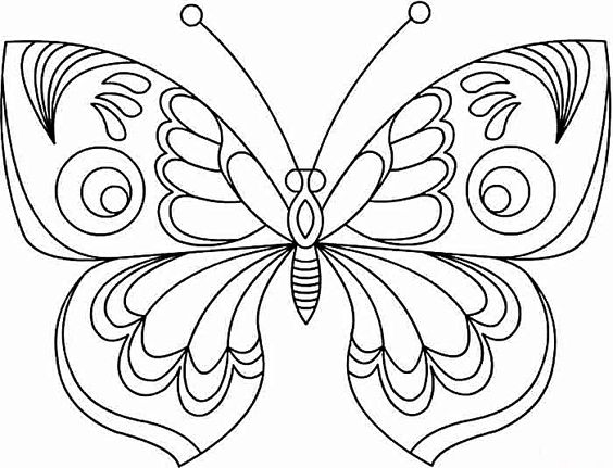 Tranh tô màu con bướm mềm mại