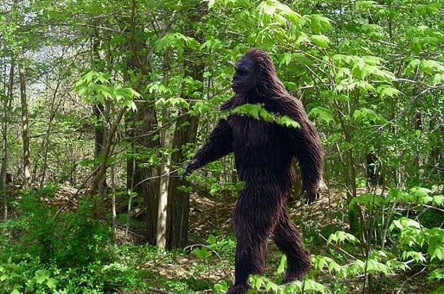 TV with Thinus: SASQUATCH. Animal Planet expanding its search to go TV with Thinus: SASQUATCH. Animal Planet expanding its search to go