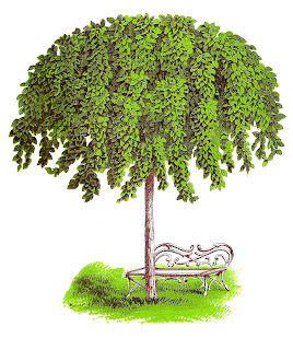 vintage Camper Down Elm Tree illustration tree elm illustration image digital artwork clipart