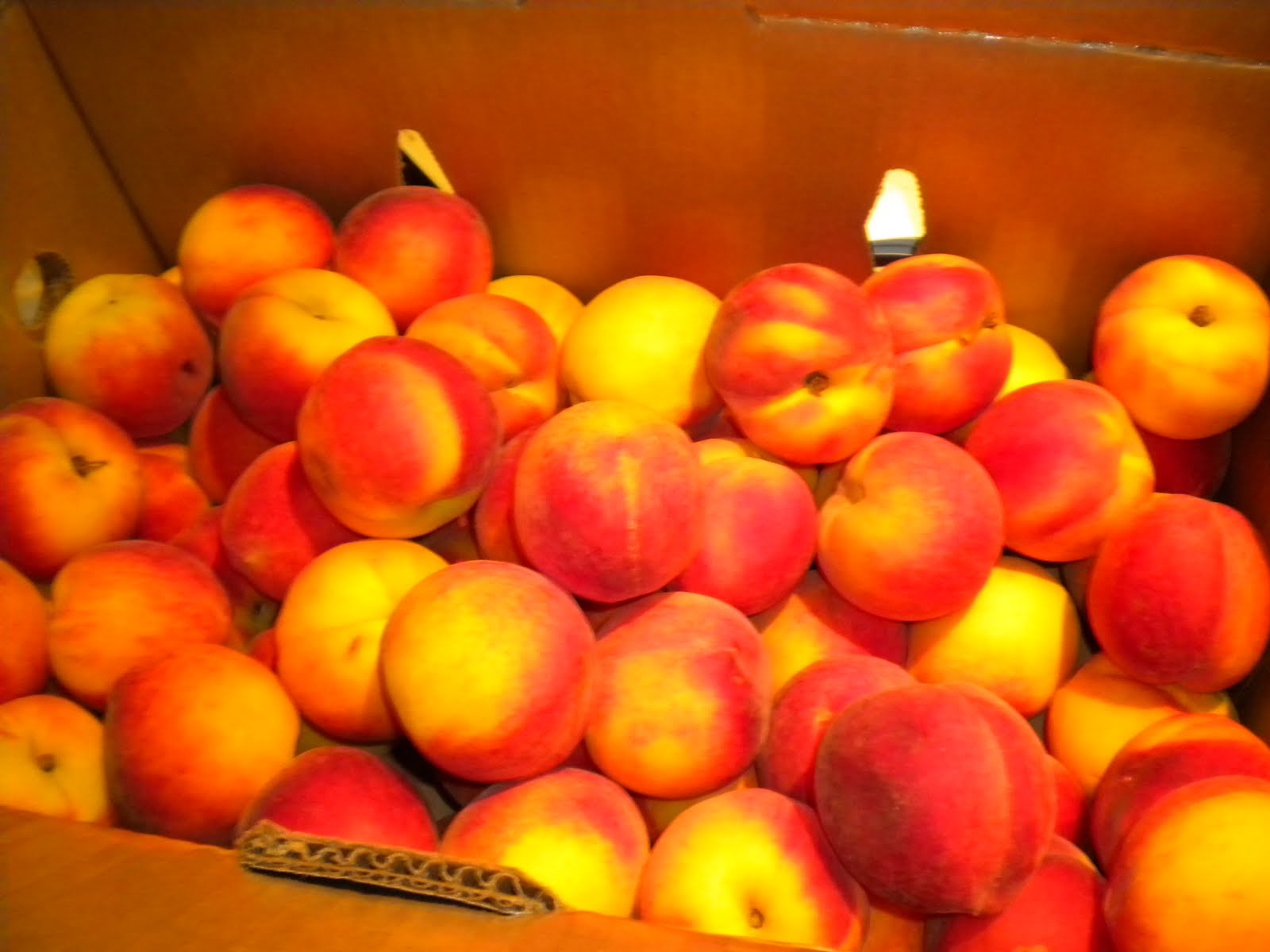 Amy On Food Charlotte and Worldwide Food and Family Travel Peaches