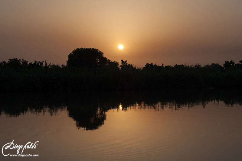 Tour por el Río Gambia - Gambia, el país de los niños (5)