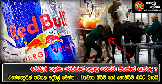 Share