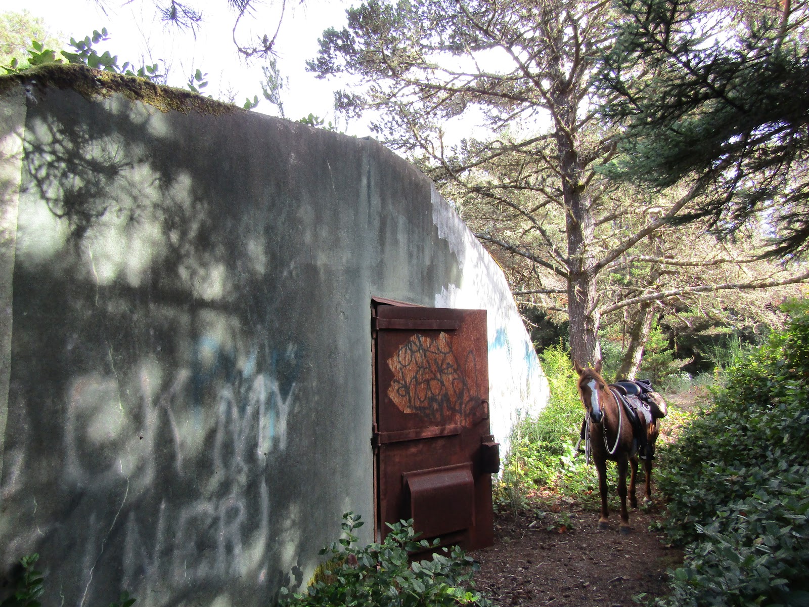 Holly S Horse Tales And Trails Wild Mare Horse Camp And The North Spit Trails Oregon