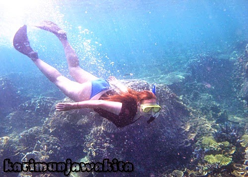 photo under water tourism karimun java