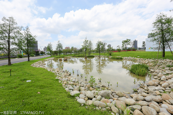 台中北屯|鉅虹建設海天橋水岸公園|百日草|落羽松|阿勃勒|生態池|貨櫃屋 台中北屯|鉅虹建設海天橋水岸公園|百日草|落羽松|阿勃勒|生態池|貨櫃屋