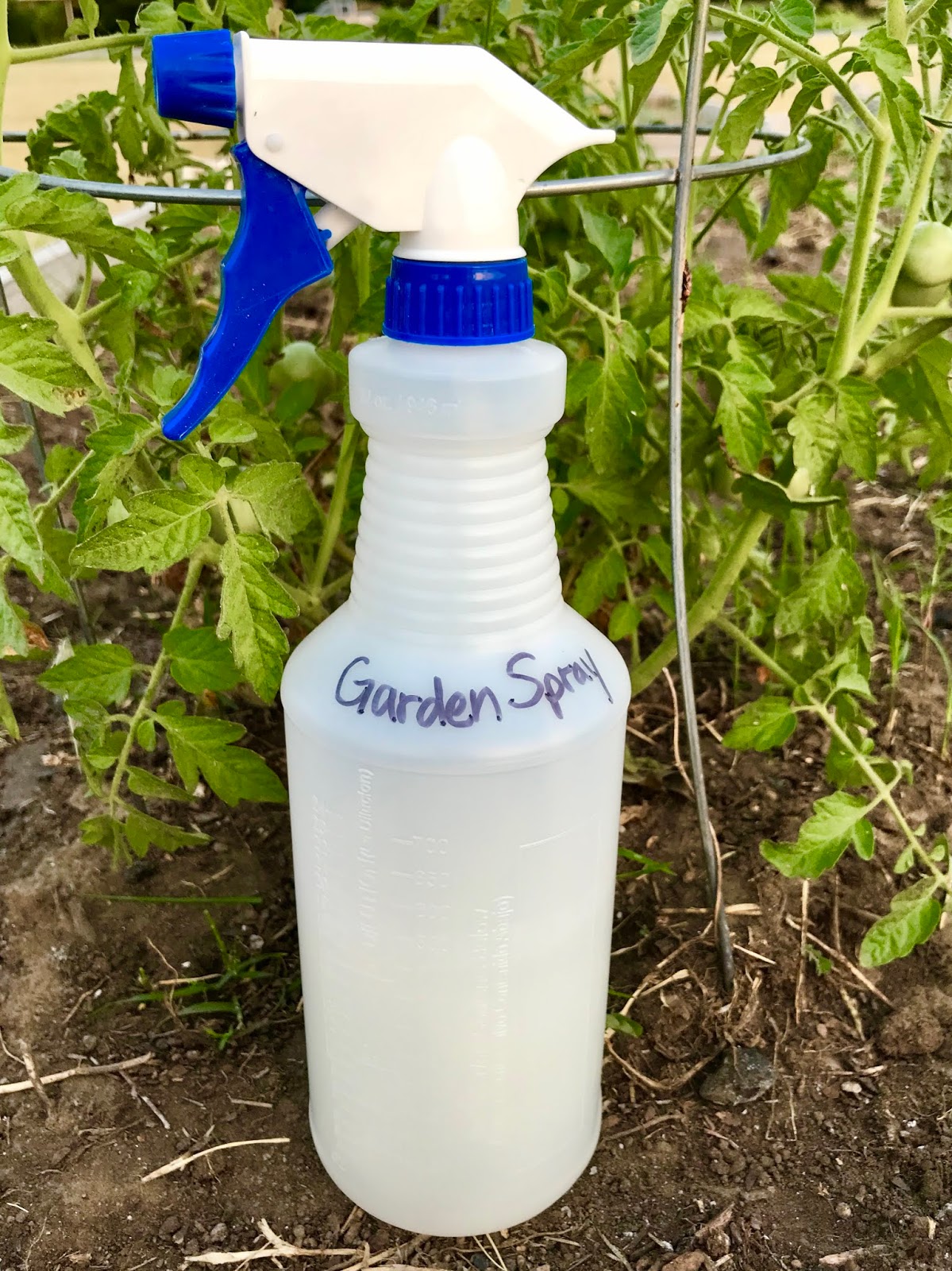 Clover House All Natural Garden Spray for Aphids