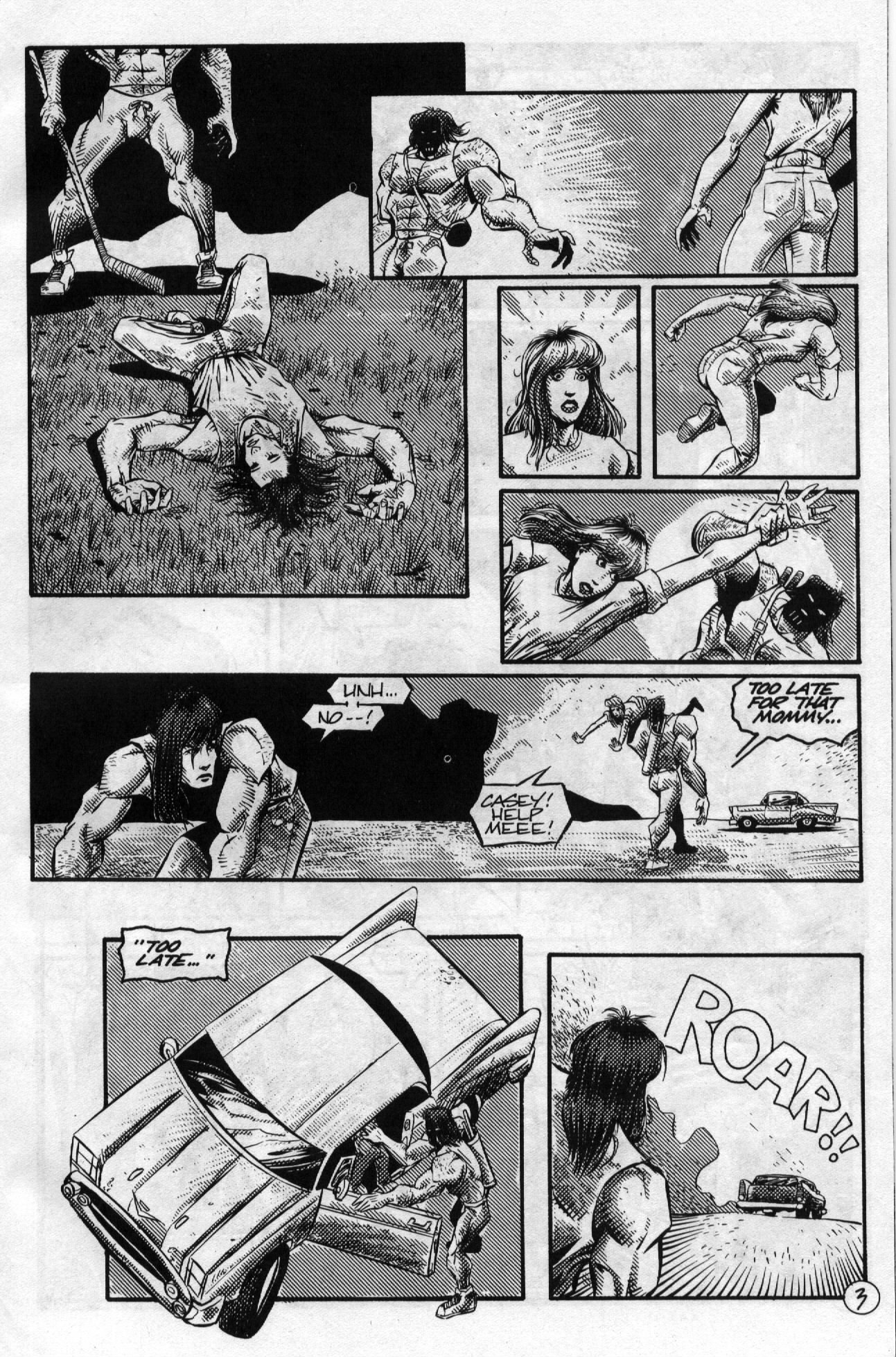Teenage Mutant Ninja Turtles (1984) Issue #58 #58 - English 5