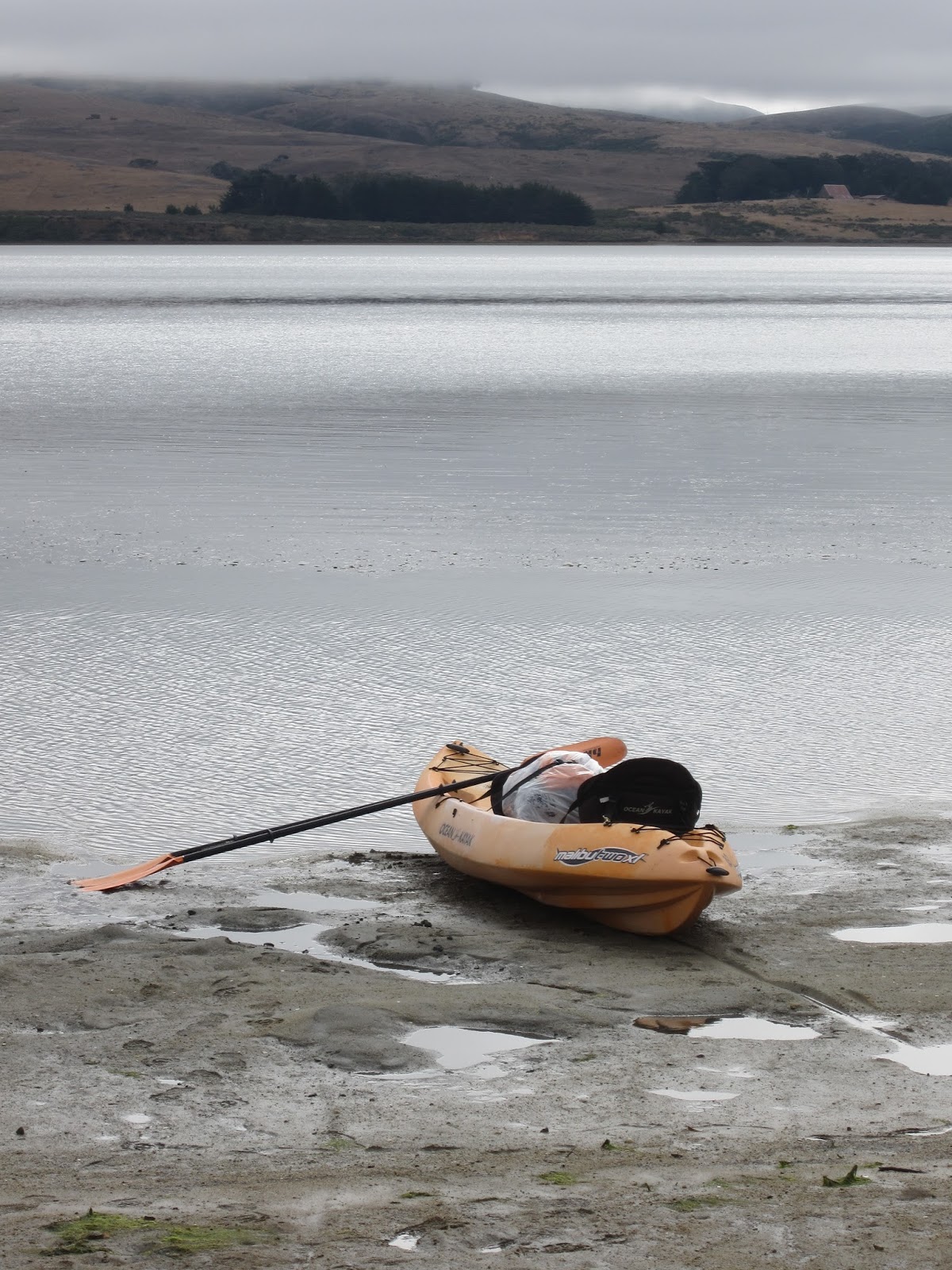 California Coast and Climate Blog Kayak Camping in Tomales Bay