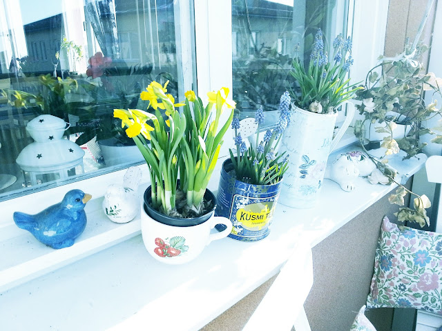 spring flowers, balcony, cute