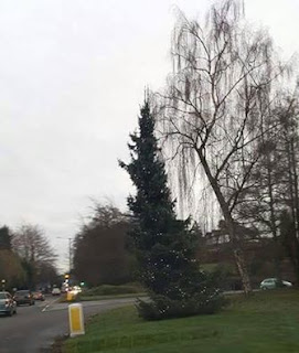 Christmas tree in Bamhall