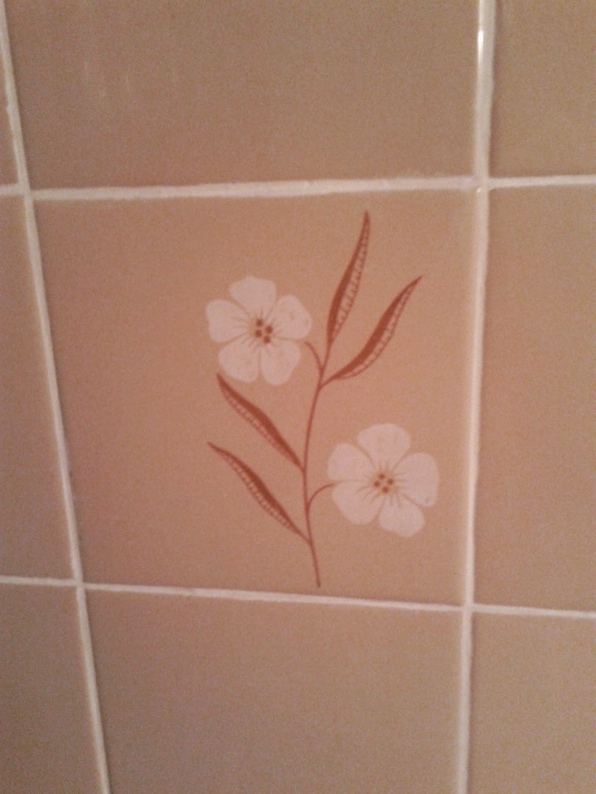 Toronto things: Stock Photo: Light brown bathroom tiles with flower