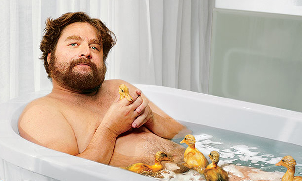 Zach Galifianakis Quotes ~ Chatter Busy Bollywood Actress