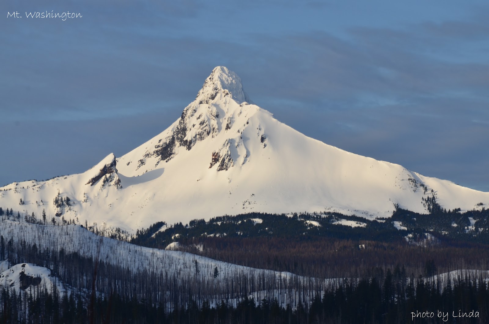 Oregon through my eyes Santiam Pass