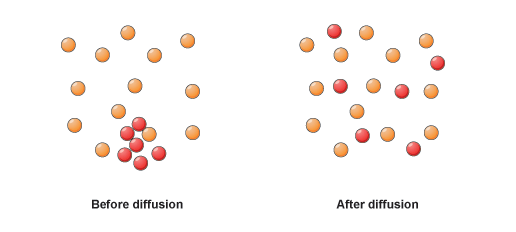 Diffusion Diffusion