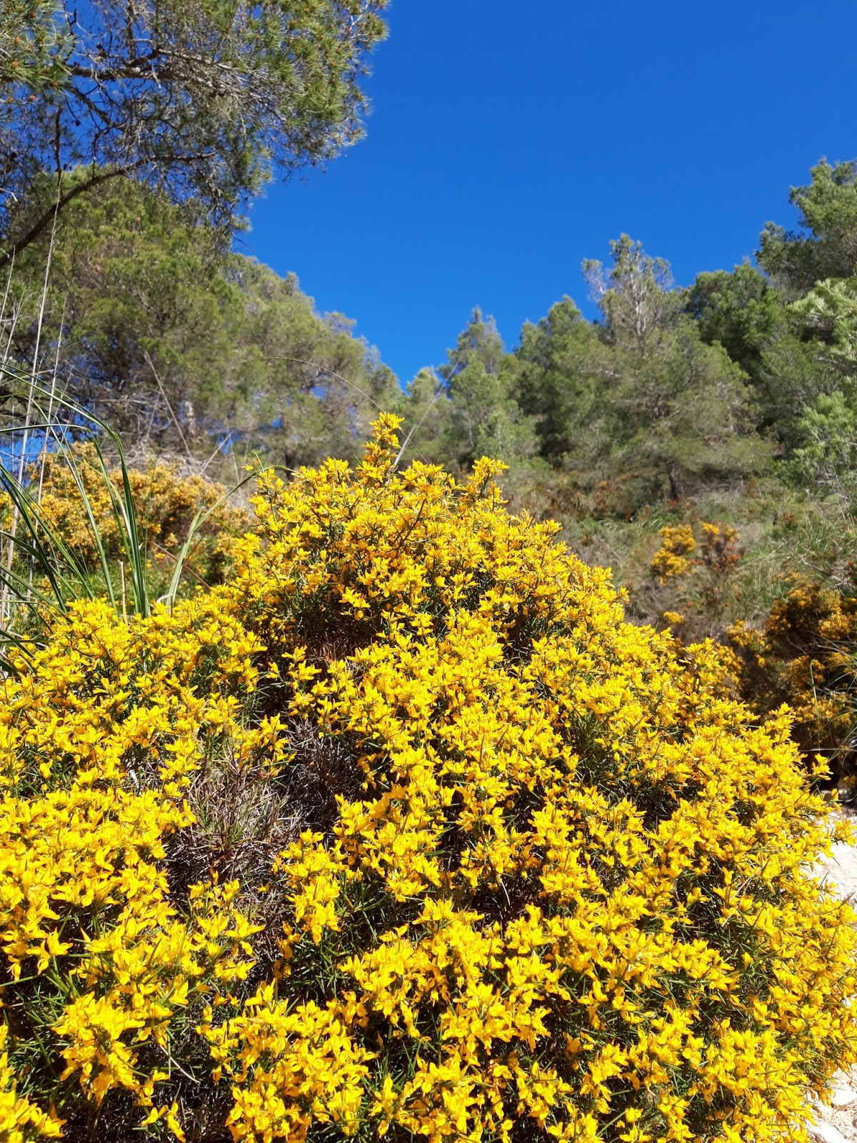 3 Farbkombinationen Fur Den Fruhling Champagner Zum Fruhstuck