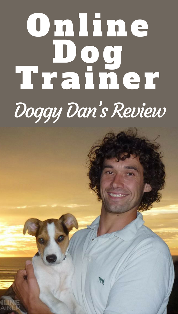 Doggy Dan's Online Dog Trainer Review Doggy Dans The Online Dog