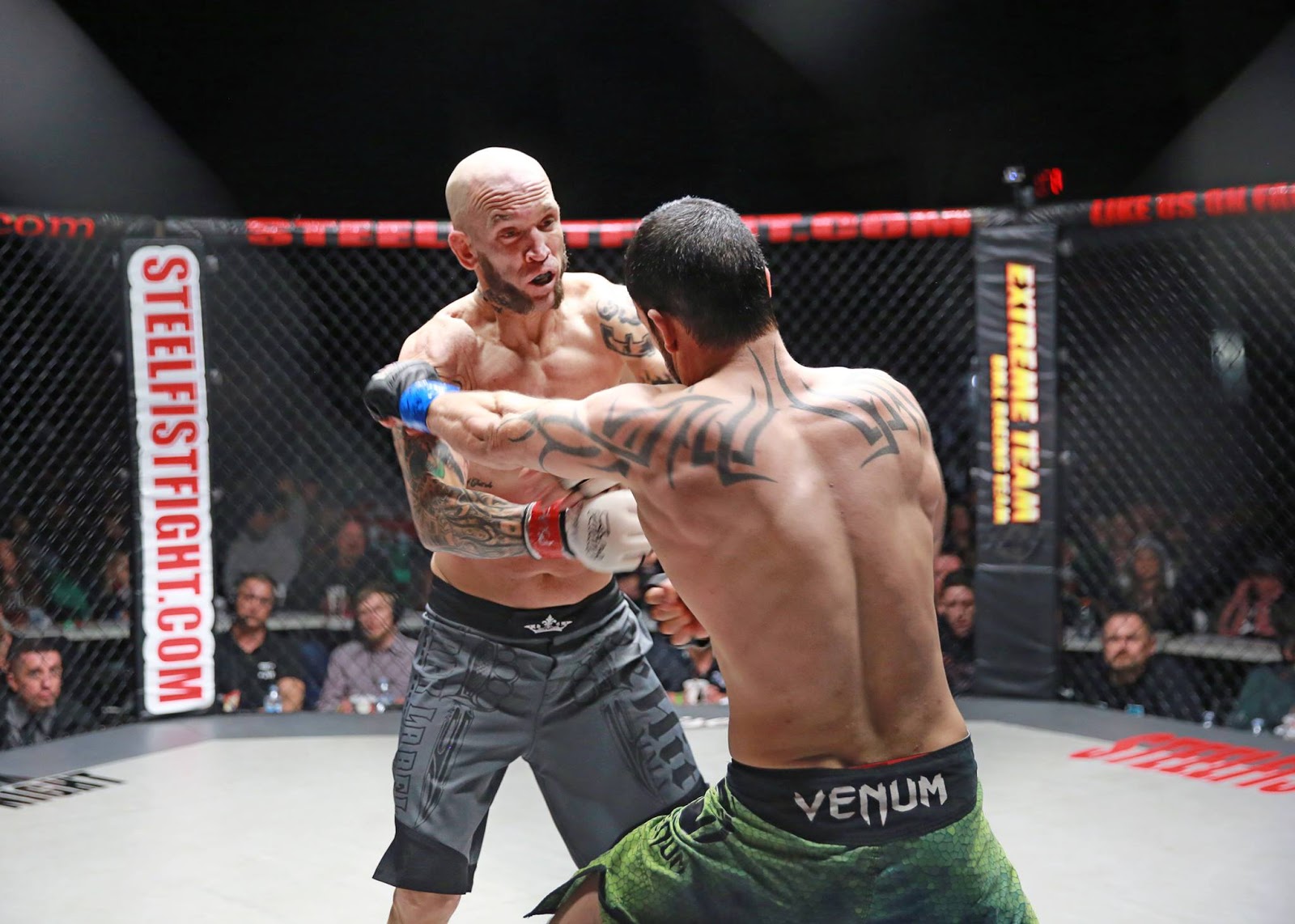 Plus ça Fighting style gentile fist