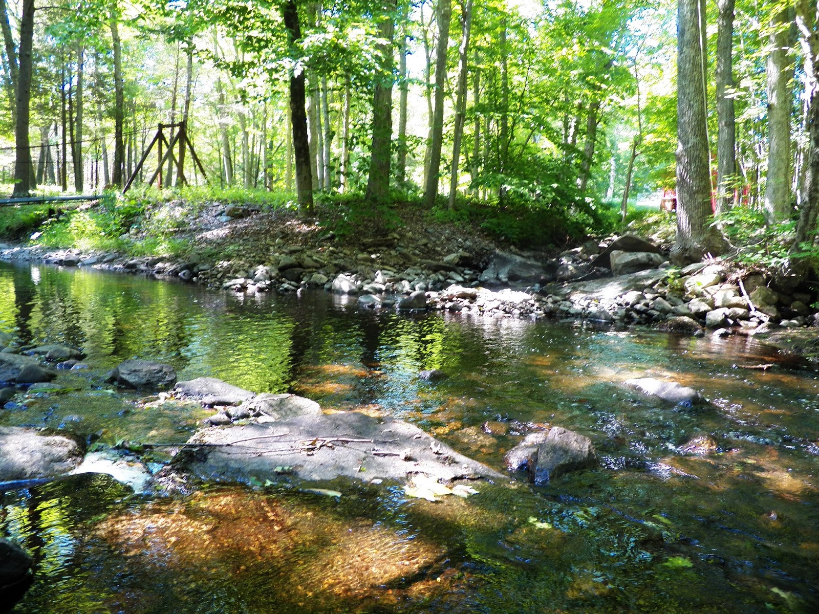 Connecticut Fly Angler My Biggest Wild Brook Trout... So Far