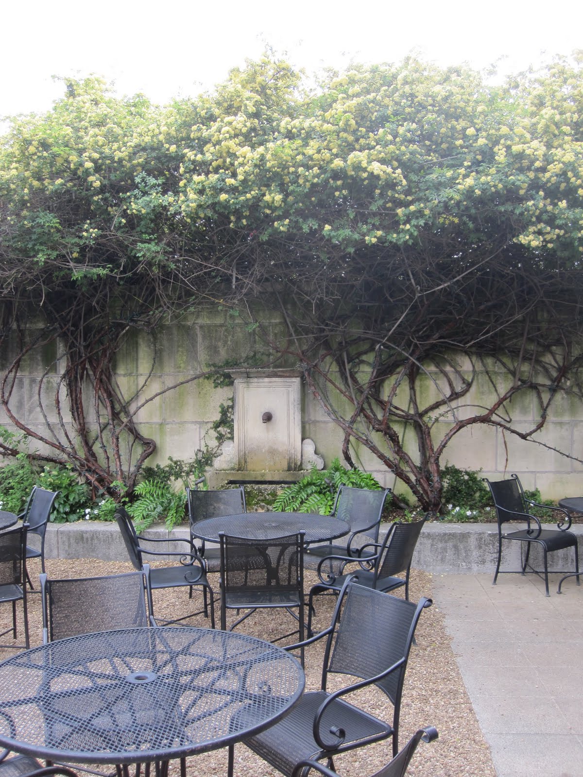 Joe Ruggiero Designer/ HGTV Host Bottega Wine Bar Birmingham, Alabama