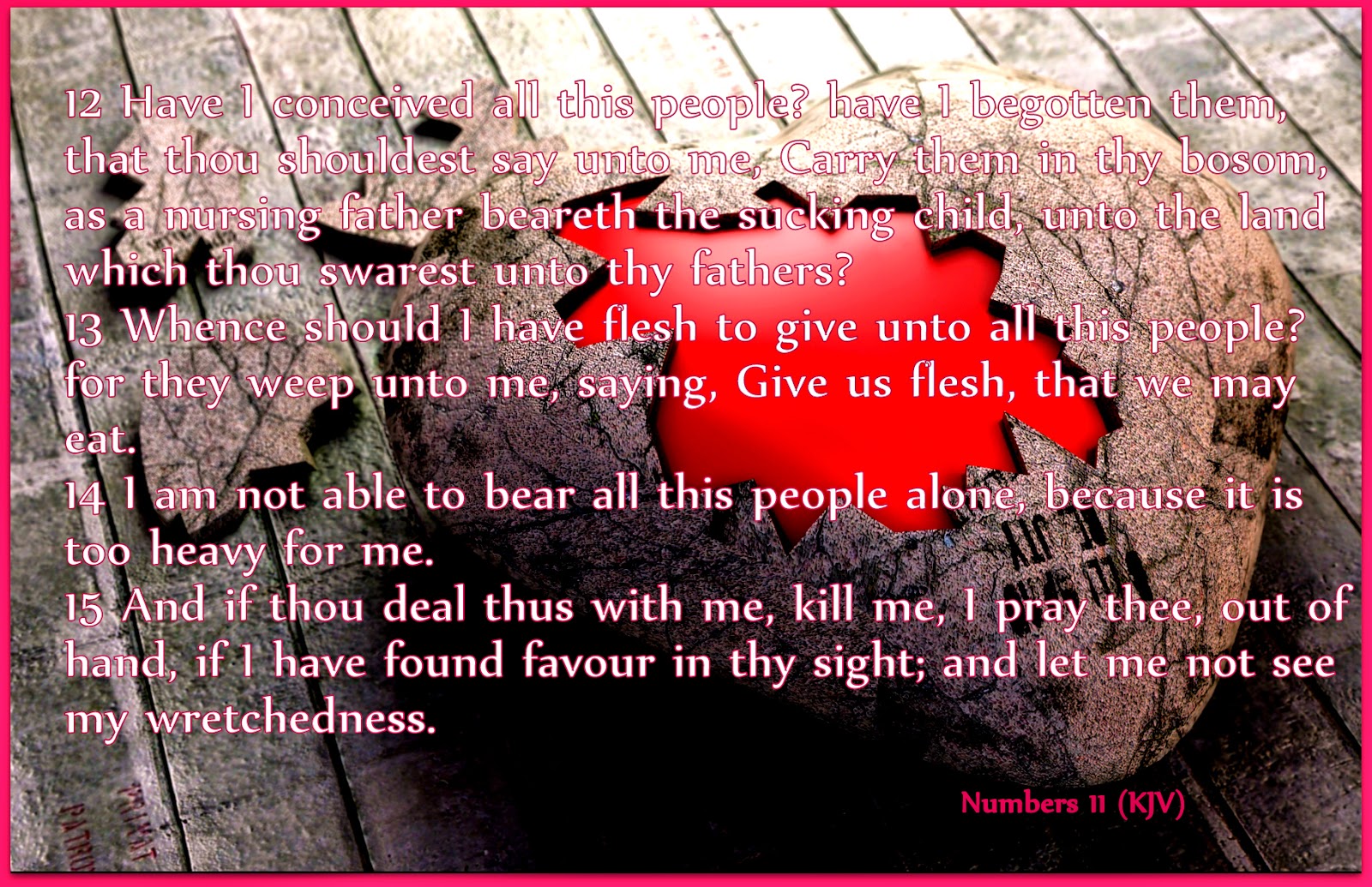 Red pill diaries numbers 11 kjv 