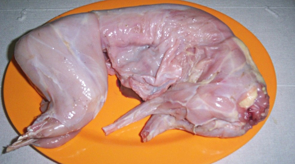 rasa dan cara mengelola daging kelinci