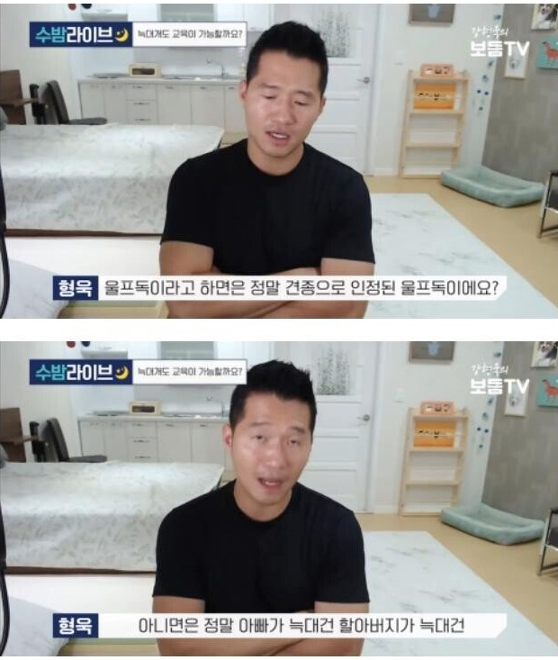 강형욱이 말하는 울프독