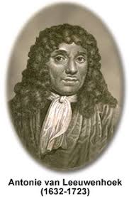 científico Leeuwenhoek