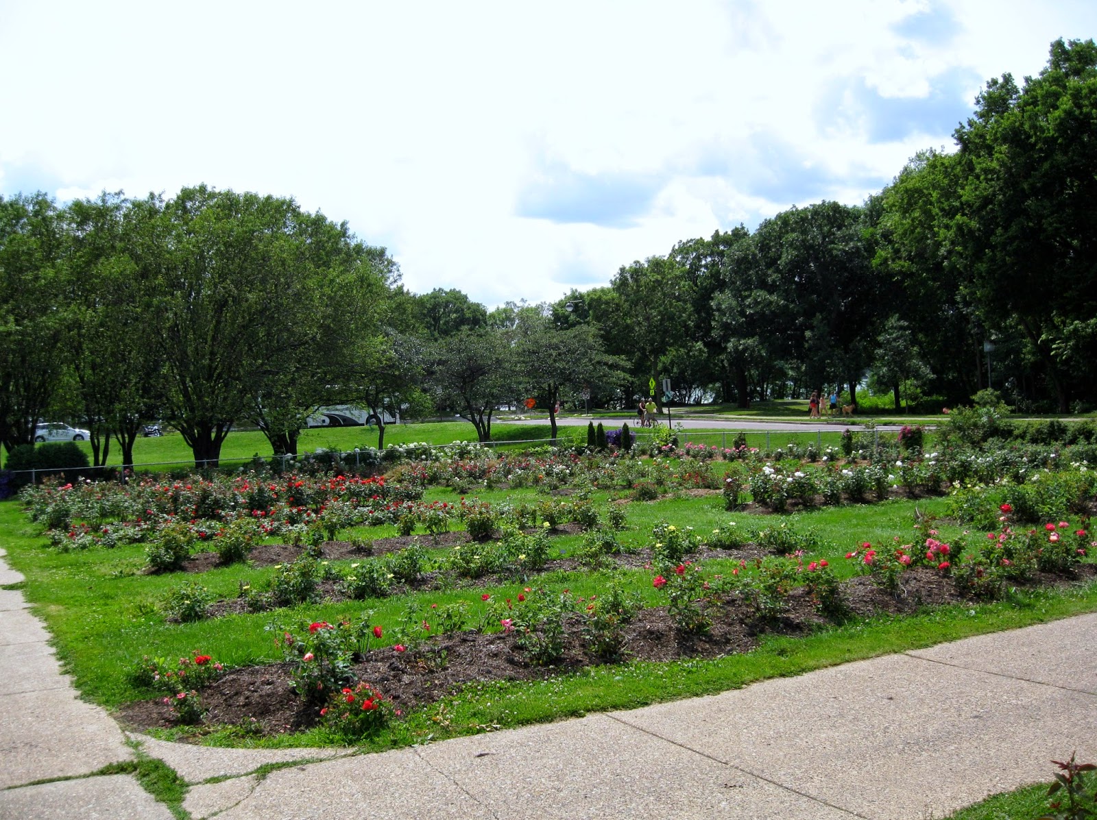 Lyndale Park Rose Garden