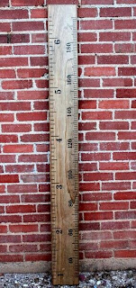 DIY Growth Ruler {Tips on what to do, and what not to do}