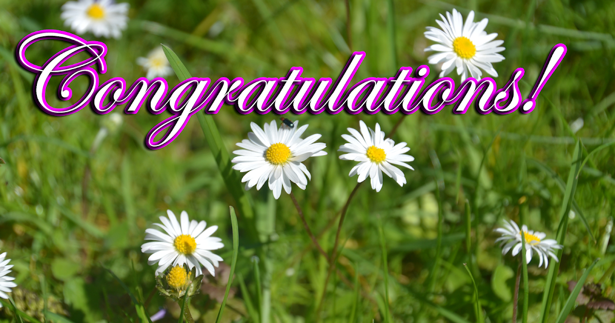 Greetings.Live*Free Daily Greetings Pictures Festival GIF Images: congratulations images daisy