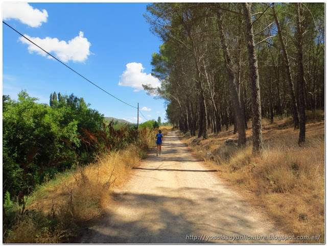 Camino de tierra por debajo del pinar, al otro lado, la vía verde Camino de tierra por debajo del pinar, al otro lado, la vía verde