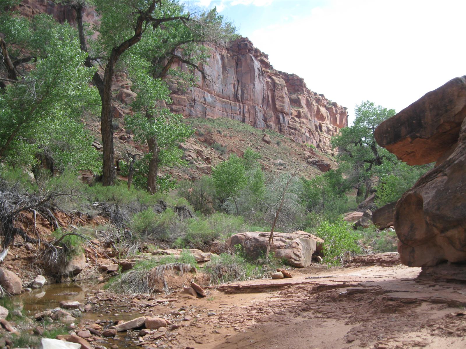 Trail Zenned: Trough Springs and Canyon Rims