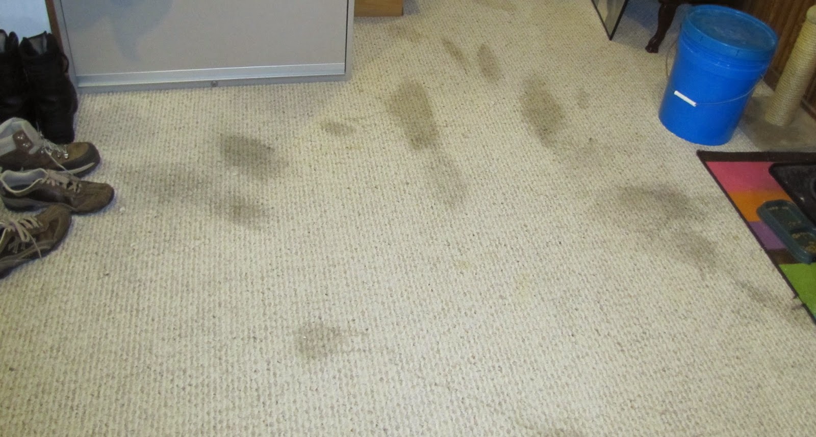 Genesis 950 Cleaning Tips And Tricks DIY Carpet Cleaning