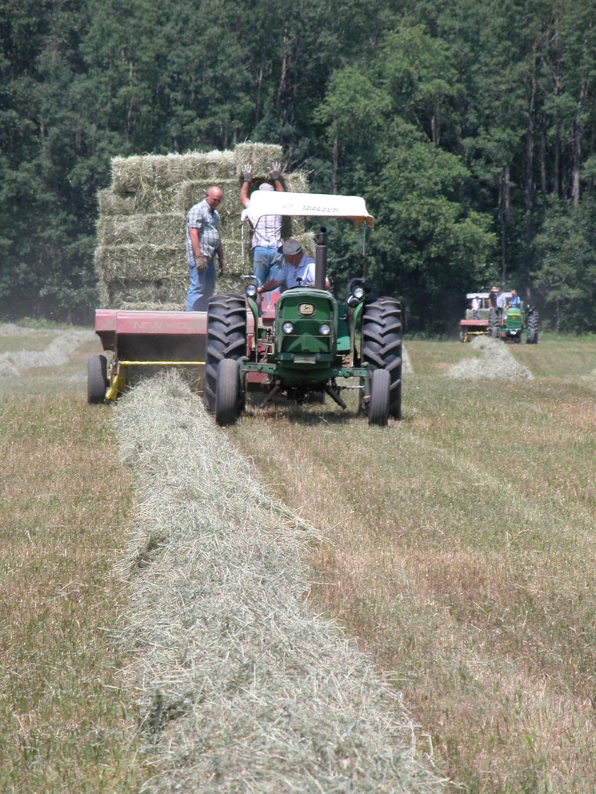 Little Flower Farm: Haying