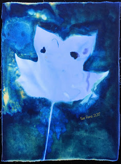 Wet cyanotype_Sue Reno_Image 104