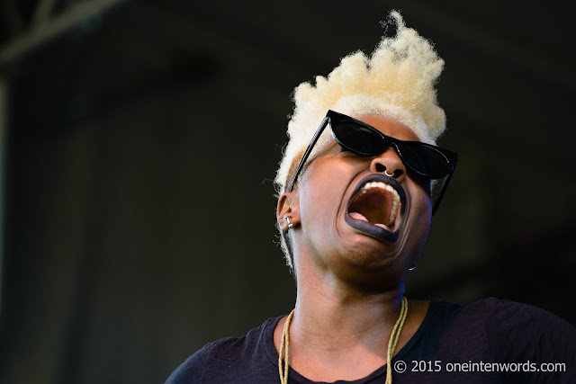 My favourite Concert Pictures of 2015 Sate at TURF The Toronto Urban Roots Festival Photo by John at One In Ten Words oneintenwords.com toronto indie alternative music blog concert photography pictures