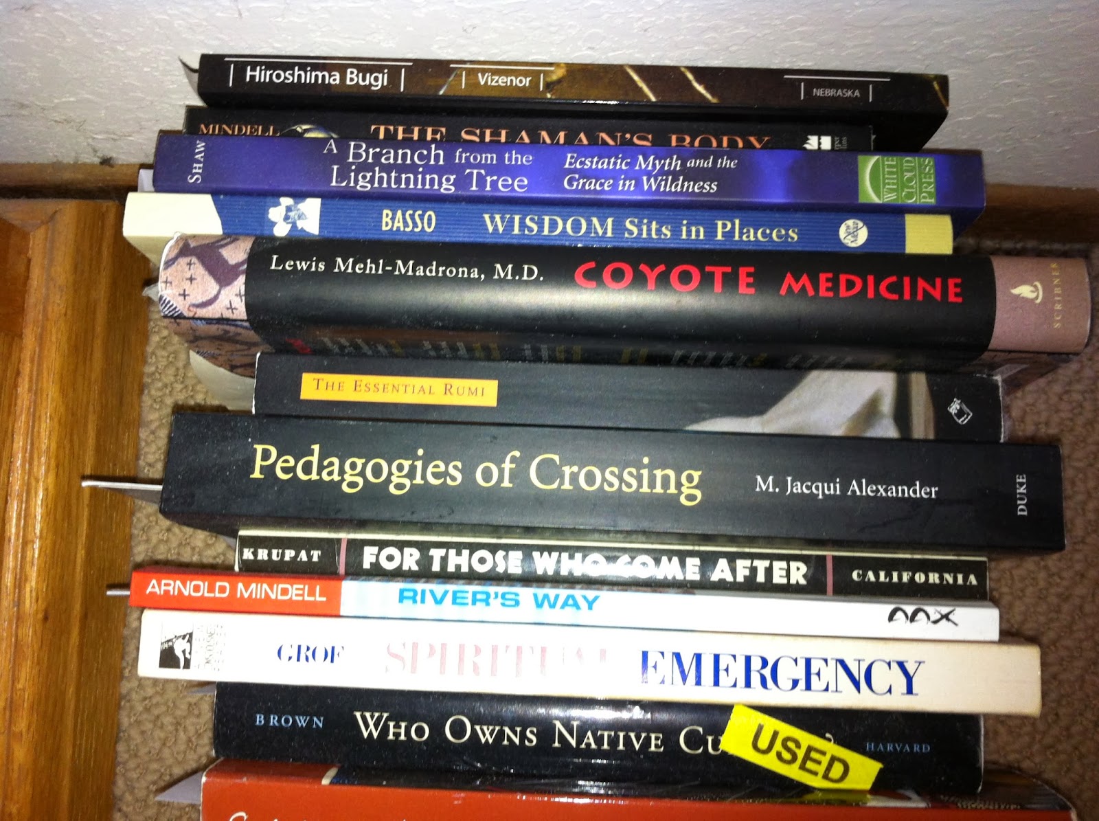 Eileen Verbs Books SNAPSHOT OF A POET WHAT ARE YOU READING 4 