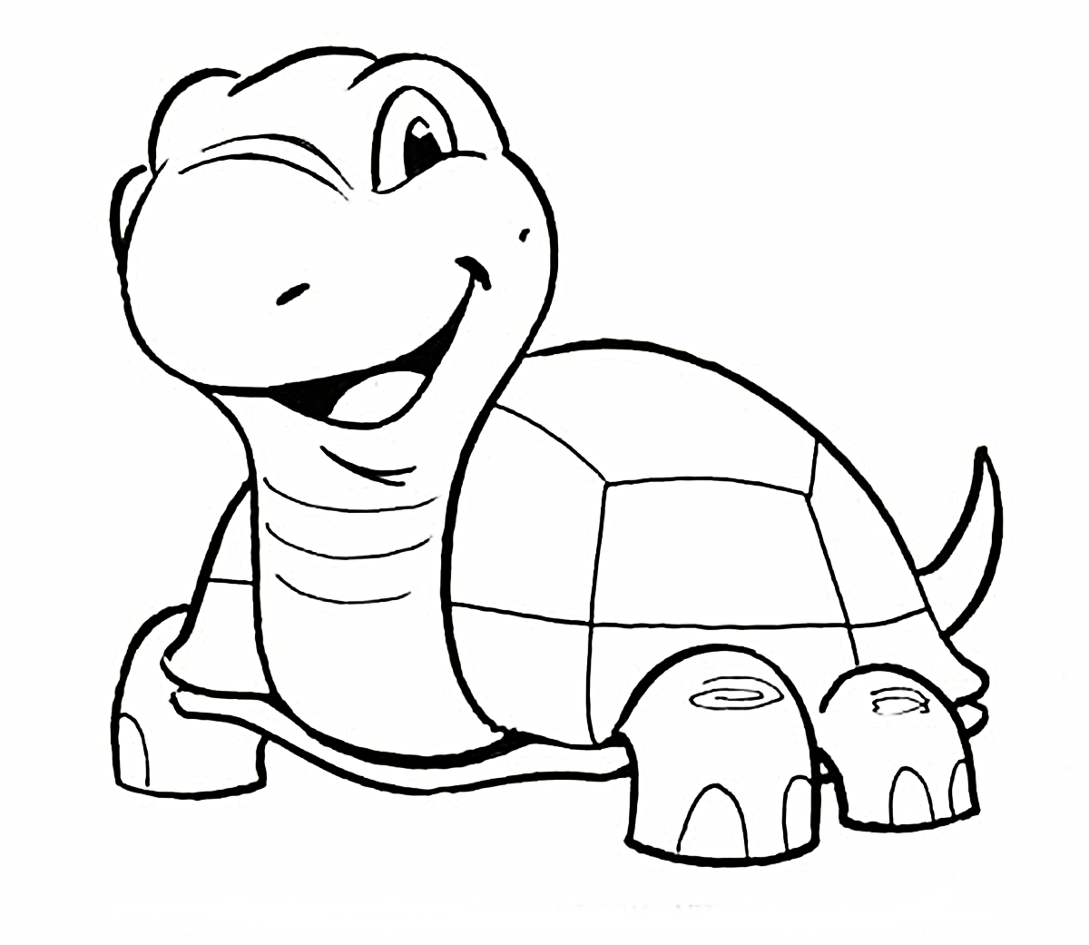 It's just a picture of Smart Turtle Cartoon Drawing It's just a graphic of Smart Turtle Cartoon Drawing