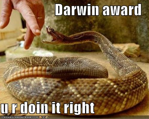 [Image: funny-pictures-darwin-award-snake.jpg]